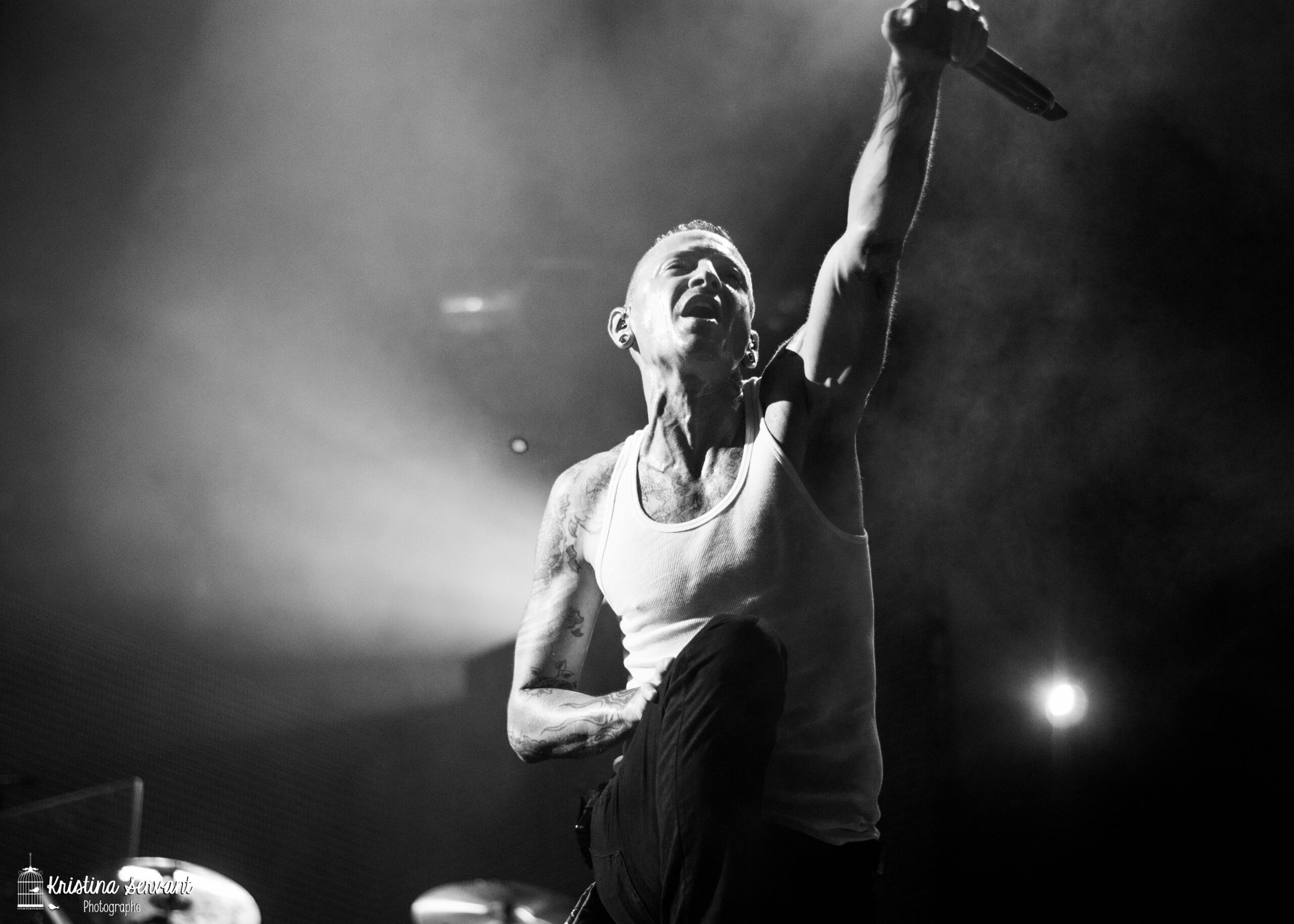 Linkin_Park_The_Carnivores_Tour_2014
